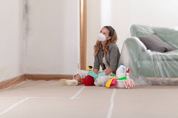 Reliable Black Mold Removal contractor in Jamestown, KY by WQB Mold Removal